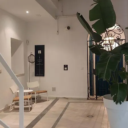 El 2 De Flamenco 1ºa * 加的斯