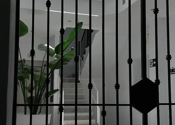 El 2 De Flamenco 1ºa קדיז