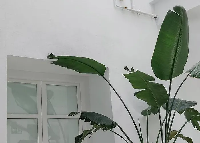 El 2 De Flamenco 1ºa 카디스